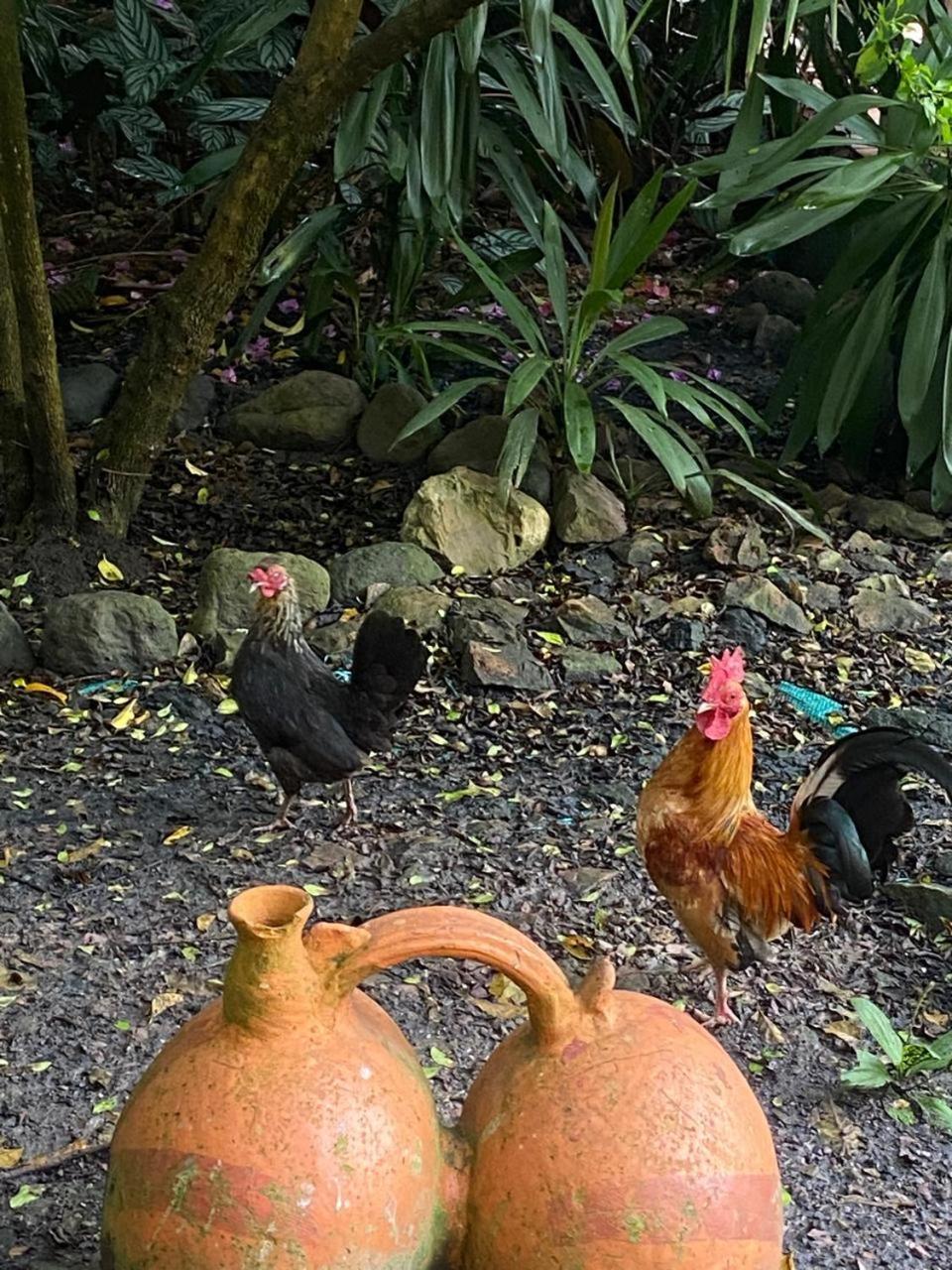 Hosteria Campestre San Fermin Raquira Luaran gambar